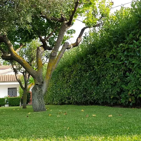 Apartment Graziella In *